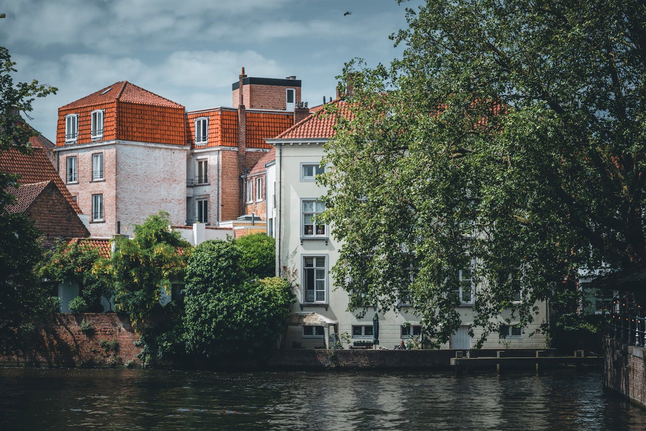 Free stock photo of bruges, brugge, greenary